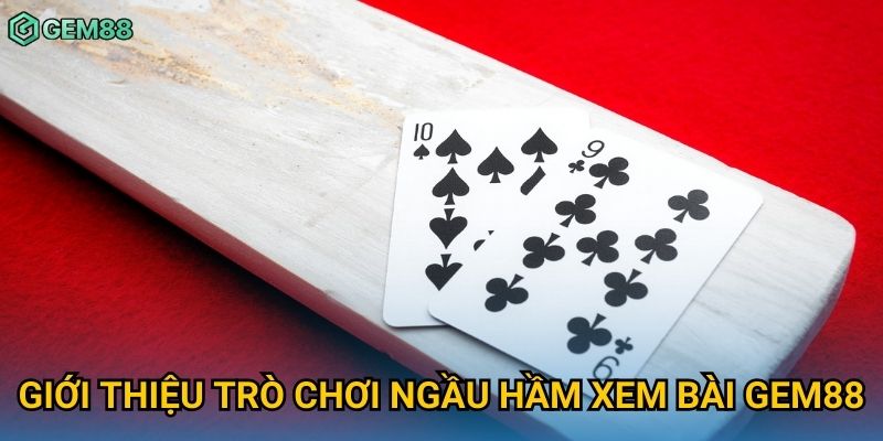 Giới thiệu trò chơi ngầu hầm xem bài Gem88