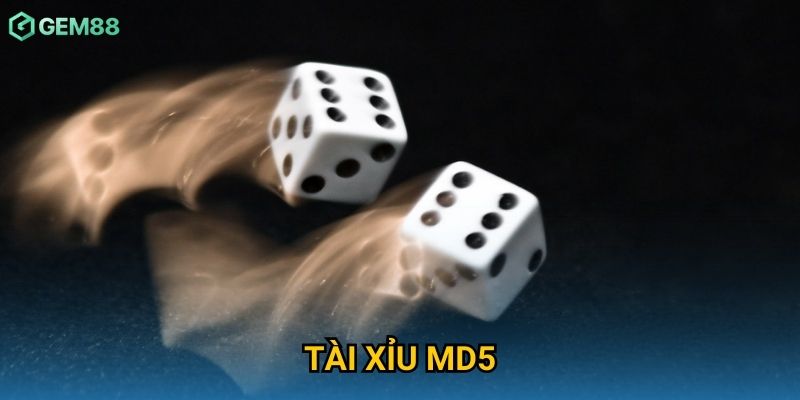 Tài Xỉu MD5 Gem88 – Đặt Cược Công Nghệ Cao, An Toàn Và Minh Bạch 1 Tài Xỉu MD5 Gem88 – Đặt Cược Công Nghệ Cao, An Toàn Và Minh Bạch